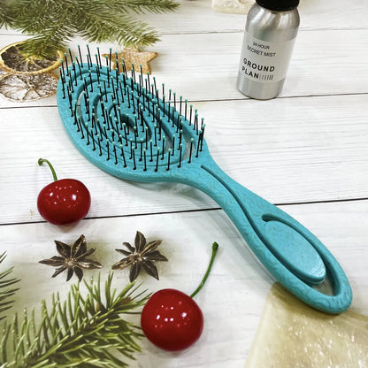 Biodegradable Detangling Hairbrush| EcoGlow Essentials