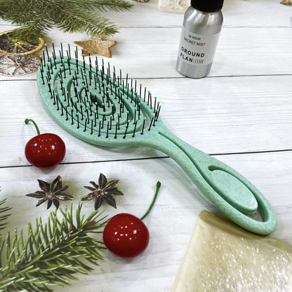 Biodegradable Detangling Hairbrush| EcoGlow Essentials